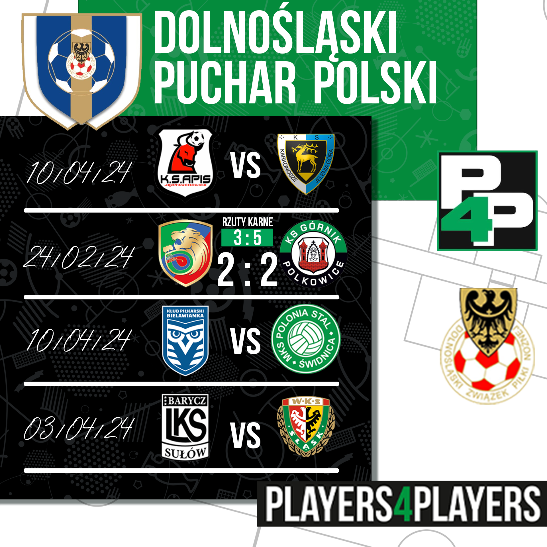 DOLNOSLASKI PUCHAR POLSKI v2