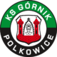 gornikpolkowice x80